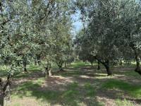 /album/galleria-di-foto/whatsapp-image-2025-10-12-at-15-30-24-jpeg/